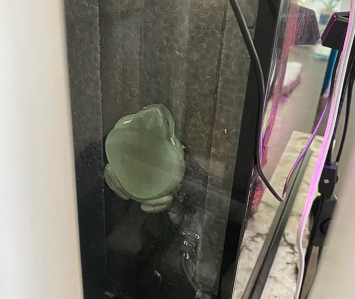 Potret kocak hewan saat terjebak ini mau gamau harus minta bantuan manusia untuk lepas